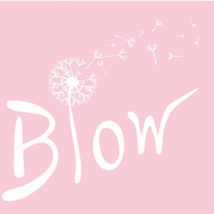 blow moda